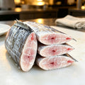 Fresh Beltfish Steaks Wild Caught